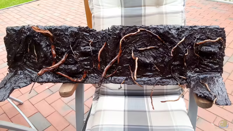 Fertige Rückwand von Koehler (34)