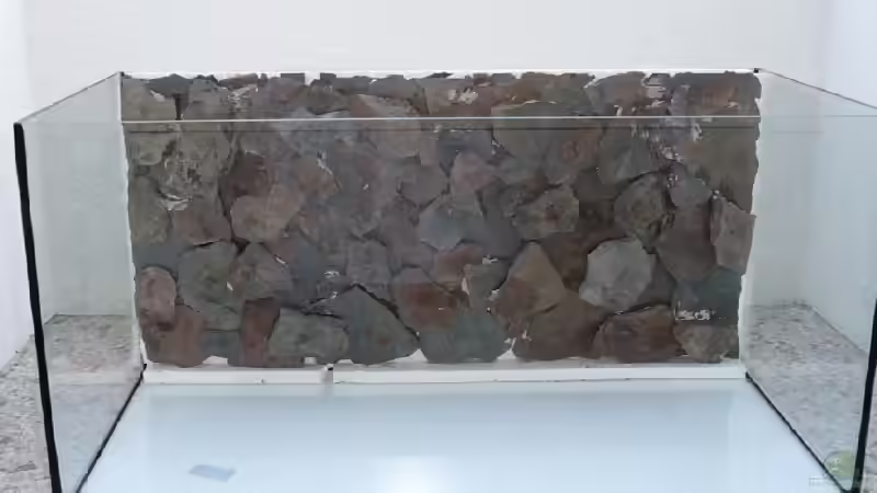 Fertige Rückwand von Thomas Zehren (6)