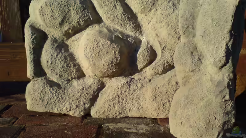 Fertige Rückwand von timme (34)