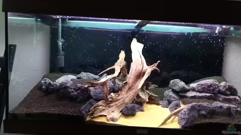 Fertiger Aufbau des Bodengrunds und Hardscapes von David Schneider Aquaristik (10)