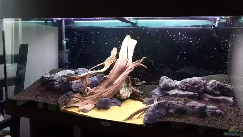 Fertiger Aufbau des Bodengrunds und Hardscapes von David Schneider Aquaristik (9)