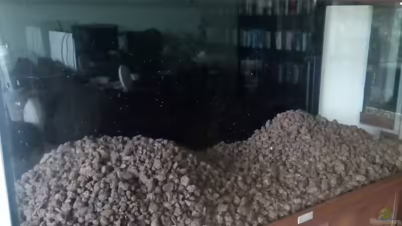 Fertiger Aufbau des Lavamulchs  von David Schneider Aquaristik (34)