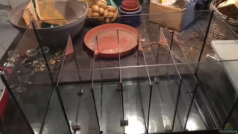 Fertiger Filter von stroelly (18)