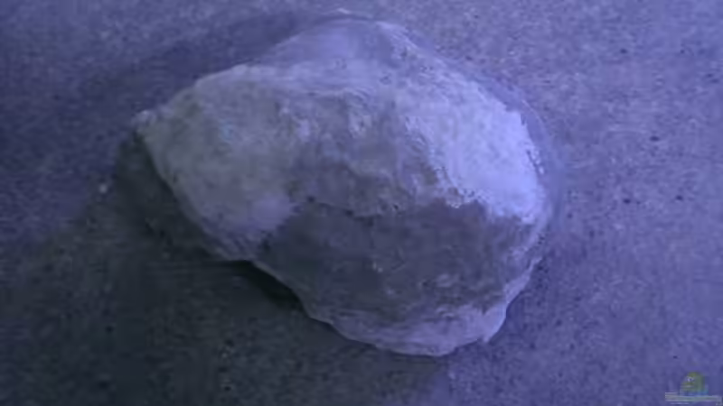 fertiger Stein von Aqua-Dirk (8)