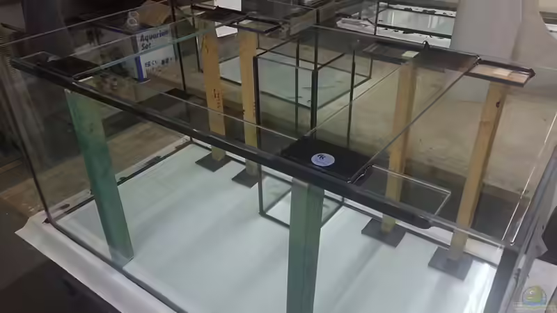 Fertiges Aquarium im Aquarienkontor von Tim1979 (10)