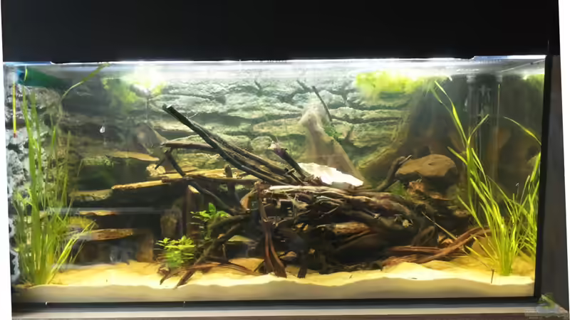 Fertiges Becken mit Abdeckung von Copplepot Lord (4)