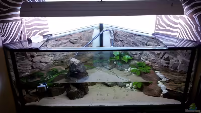 Fertiges Ergebniss von tattooindi (12)