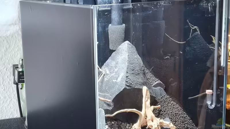 Fertiges Hardscape von David Schneider Aquaristik (16)