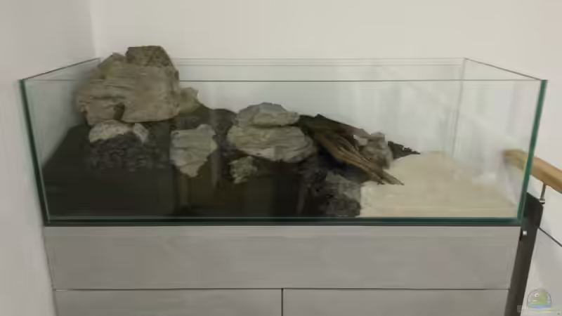 fertiges Hardscape von Dreadnought (11)