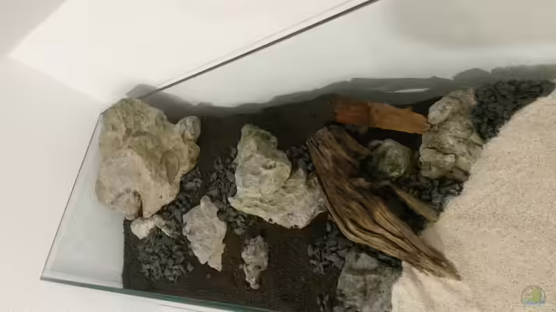 fertiges Hardscape von Dreadnought (12)