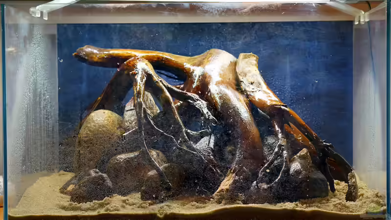 fertiges Hardscape von Micha... (3)