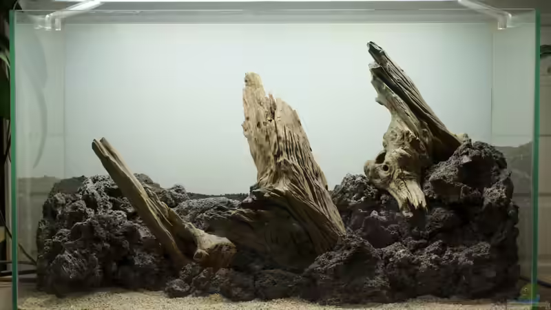 fertiges Hardscape von Micha... (34)