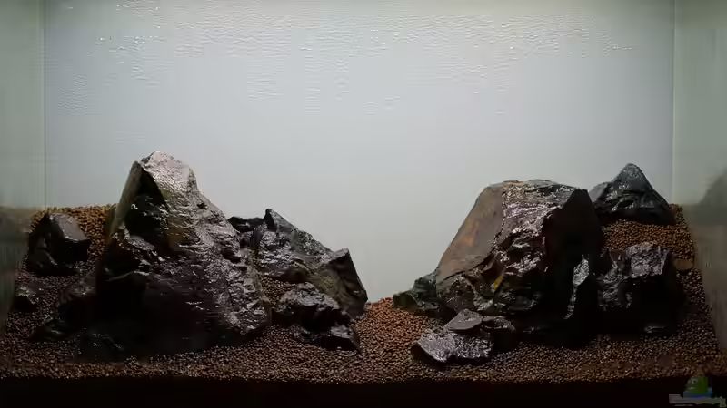 Fertiges Hardscape vor dem Bepflanzen von Micha... (13)
