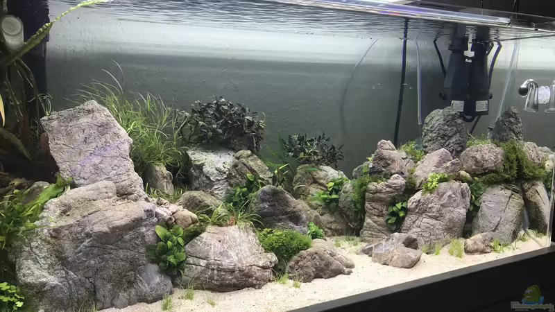 Fertiges Layout von Der Nicky (19)