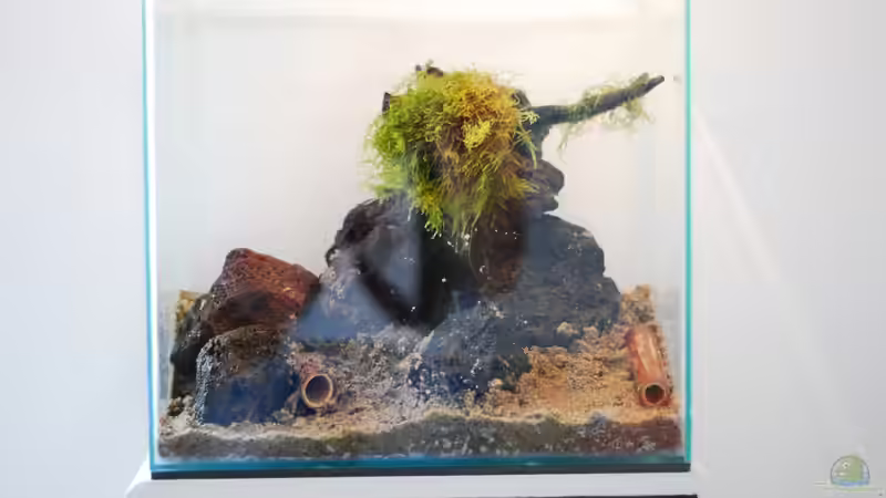 fertiges Set-Up ohne Pflanzen von TimTamTellerlein (6)