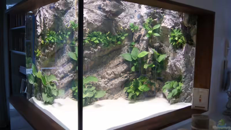 Fertigstellung April 2013 von Michael Walther (3)