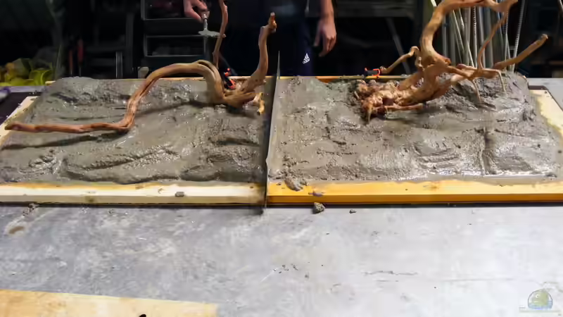 Fertigstellung der Rückwand von Falk (8)