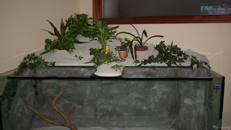 Fertigstellung des au??enbereichs von Andre Rohde (1)