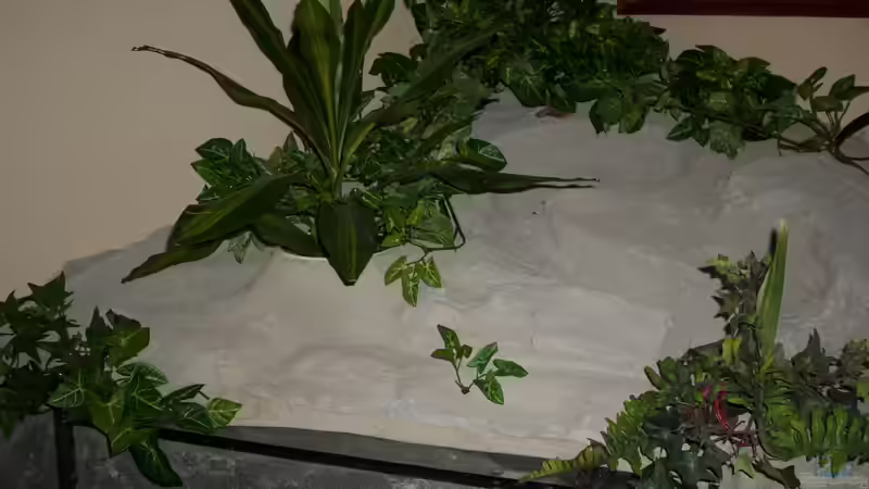 Fertigstellung des außenbereichs von Andre Rohde (12)