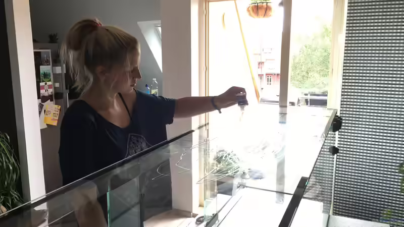 Festkleben der Rückwand von stroelly (10)