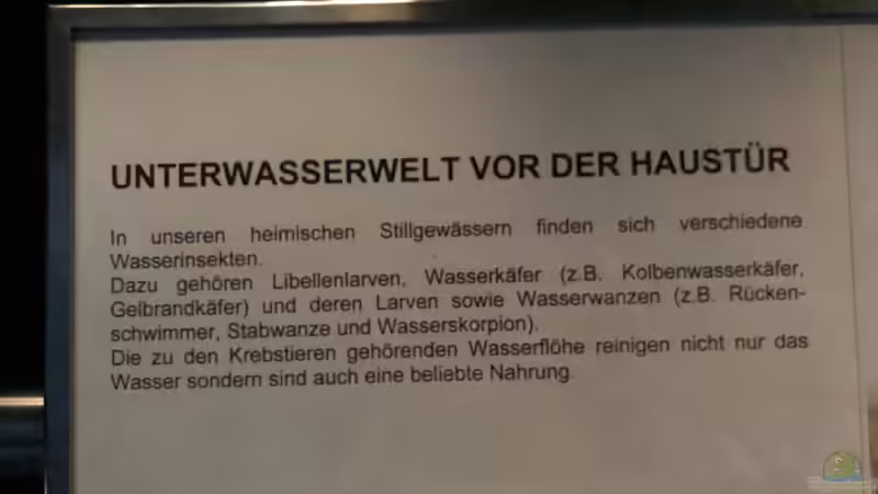 Feuchtgebiete im Alpenzoo Innsbruck Teil 1/2