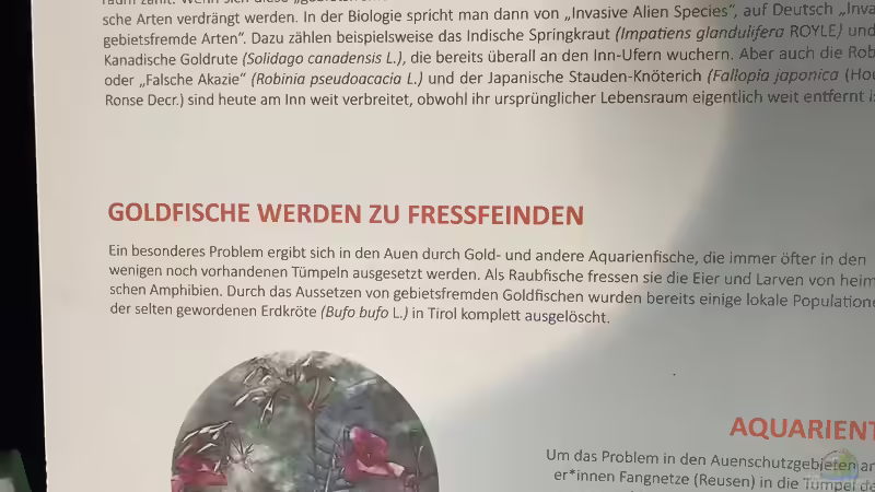 Feuchtgebiete im Alpenzoo Innsbruck Teil 1/2