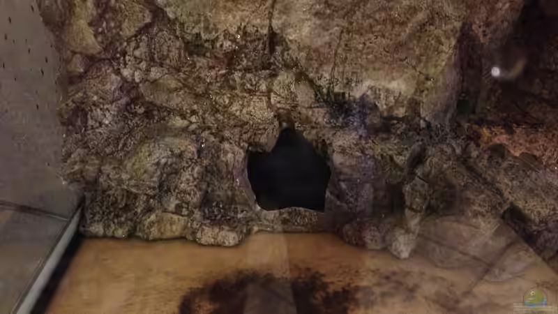 ??ffnung zum durchschwimmen von chR576 (26)