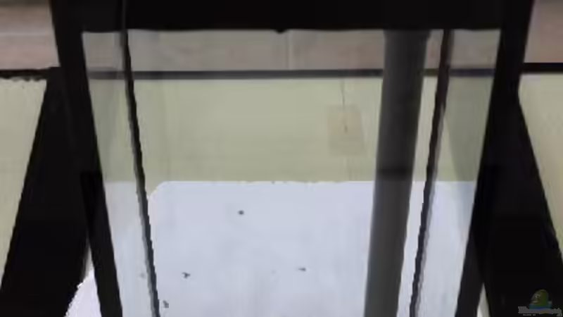 Filter.-??berlaufschacht von Jörg (8)