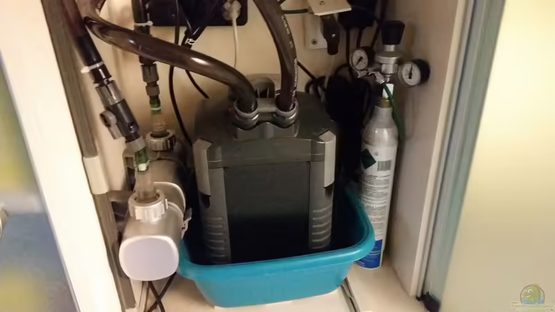 Filter, Co2 Anlage, UV Klärer von Gigi (21)