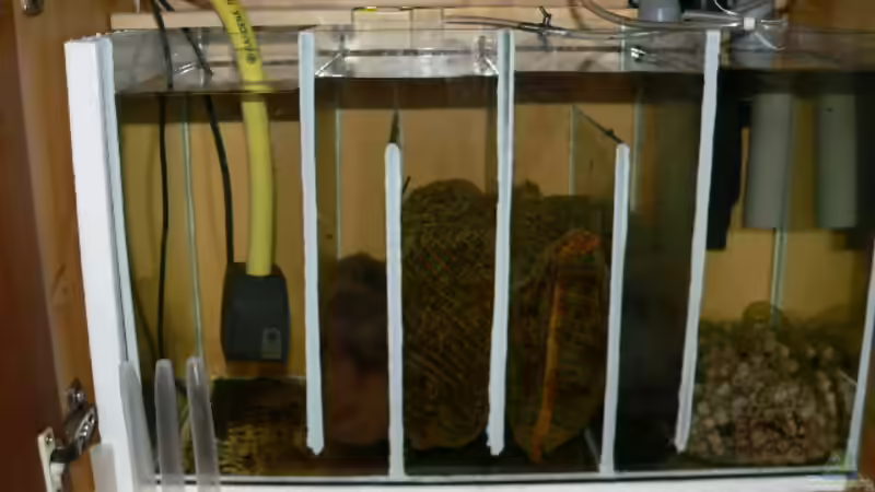 Filter, Eigenbau mit 6 Kammern von Werner Lehmann (25)