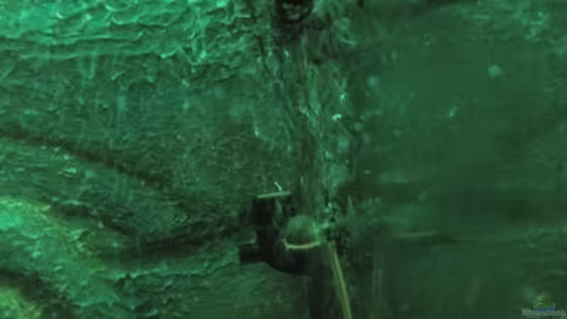 Filter, kleine Strömungspumpe, Luftausströmung von Marcel Wagner (16)