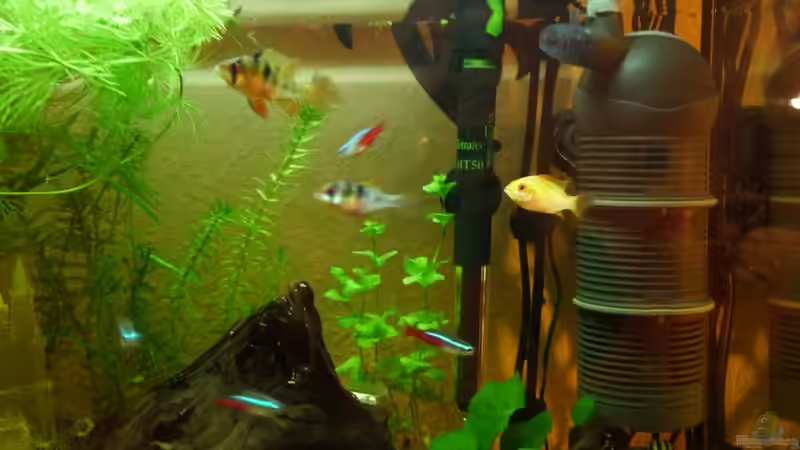 Filter an alter Stelle von LeAnn (4)