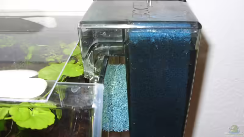 FILTER arbeitet wie ein HMF von Nanonana (18)