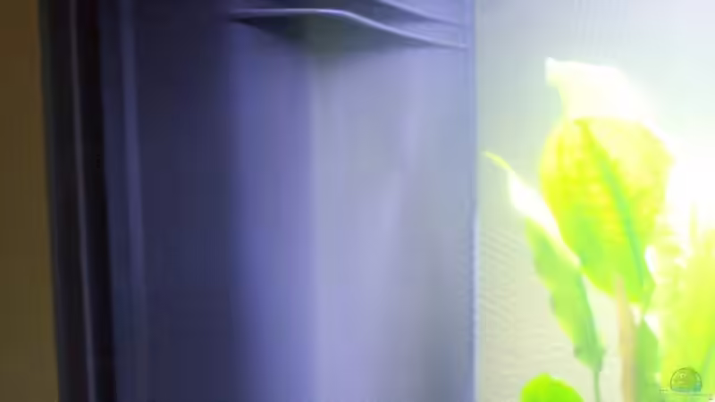 Filter Außenansicht Bluwave 05 von Olaf E. (8)