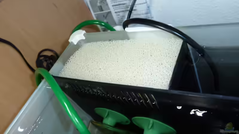 Filter-Babysicherung von Martin W. (17)