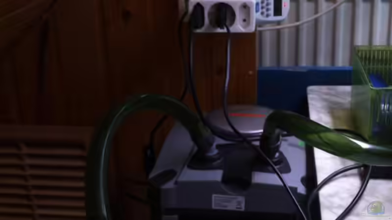 Filter bild2 von Gladbacherfohlen86 (19)