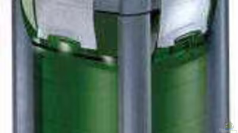 filter Eheim professional 3 von Maurice Overheu (18)