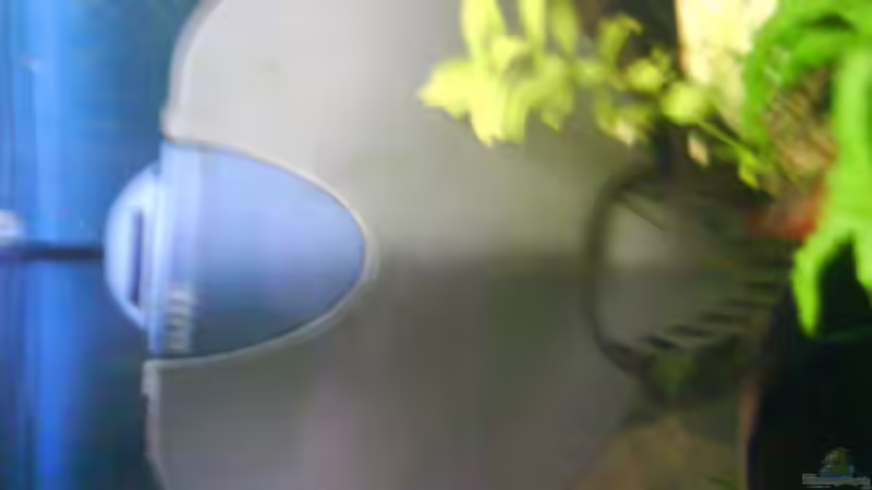 Filter Elite von Joelle Thies (5)