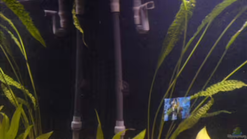 Filter Fluval 304 von Cindy Laumer (6)