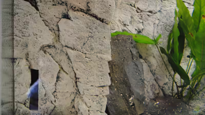 Filter für Oberflächenströmung von rOCkStaR (10)