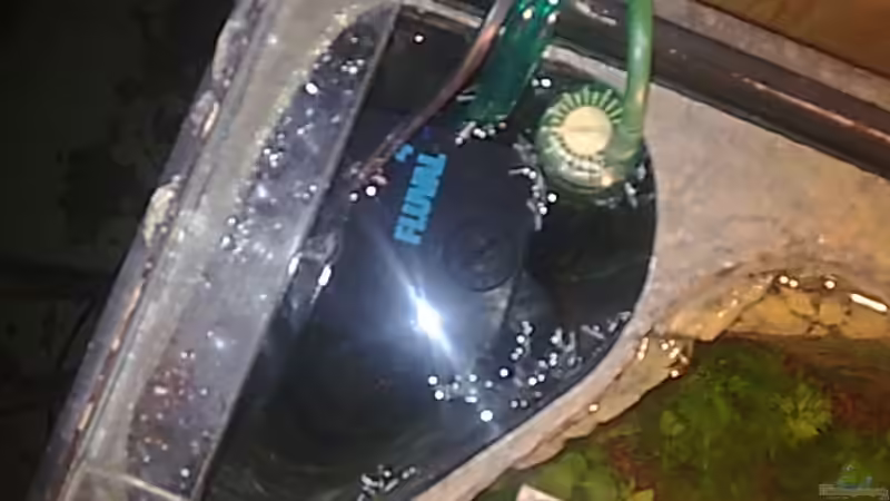 Filter Heizstab in Rückwand von Bulldog1112 (19)