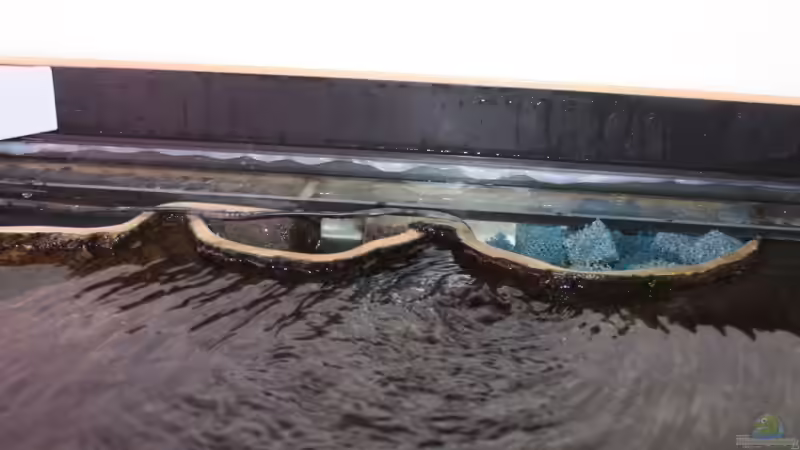 Filter hinter den Woodrockmodulen mit Pumpe und Heizstab von Manuel König (9)