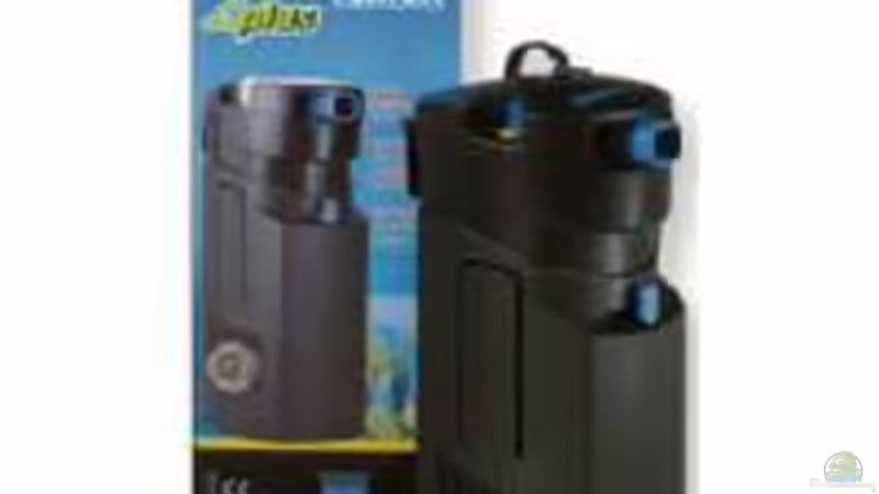 Filter Hinter Matte von Dasy (10)