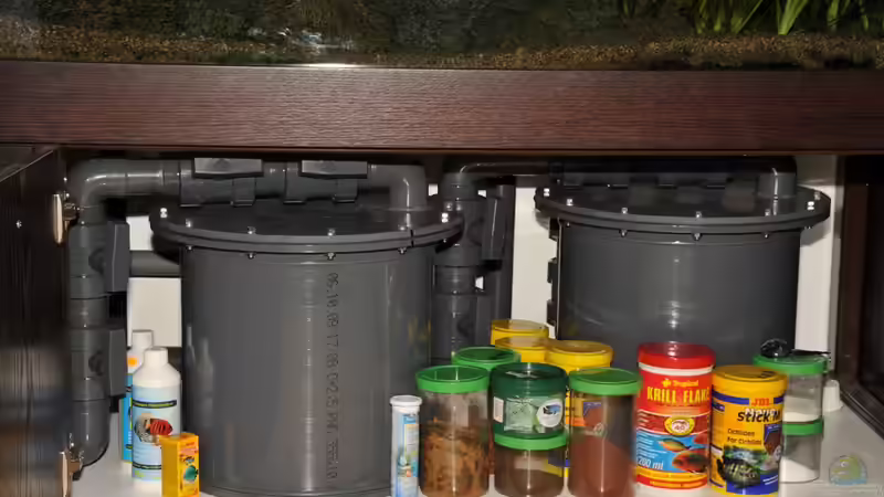 Filter im Einsatz, man vergleiche das Größenverhältnis mit den 1 ltr. Futterdosen von Crenii (33)