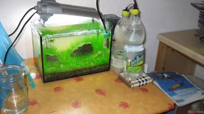 Filter Lampen und Co2 von niva (12)