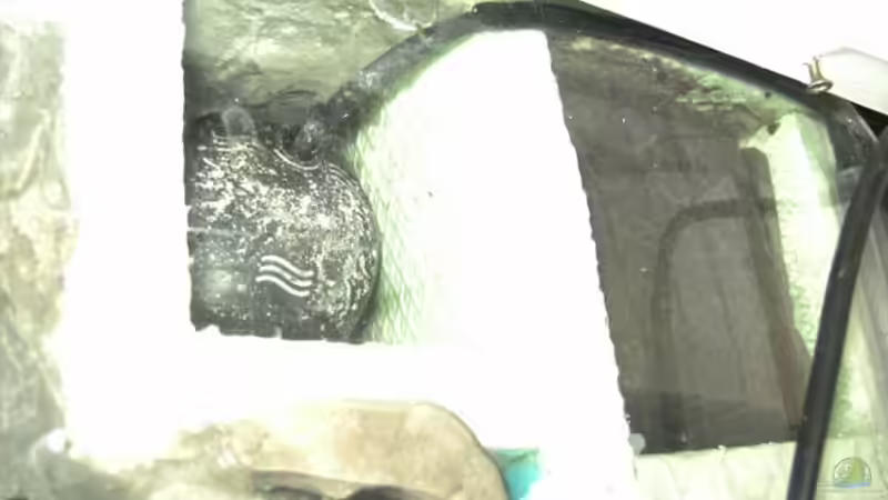 Filter linke Seite von rayskin (12)