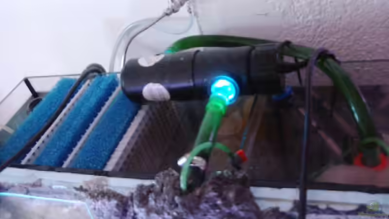 Filter mit UVC von Thomas Lapper (5)