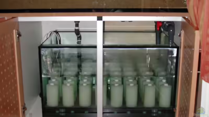 Filter neu von Chegwidden (2)