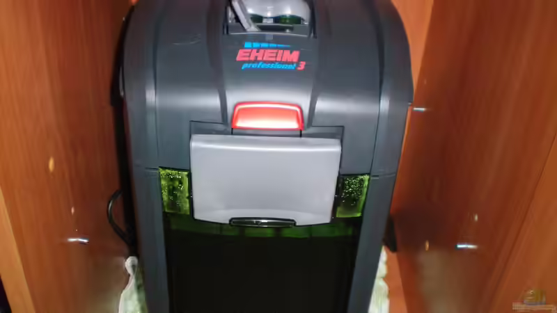 Filter Nr. 1 von Falk Bellmann (32)