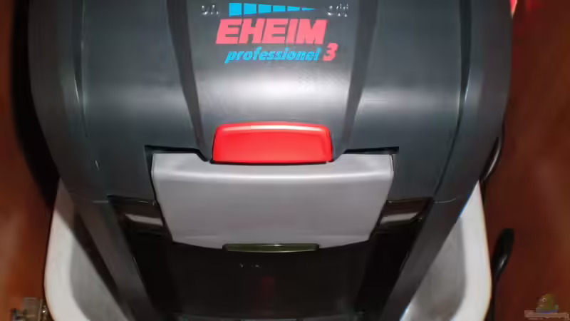 Filter Nr. 2 von Falk Bellmann (36)